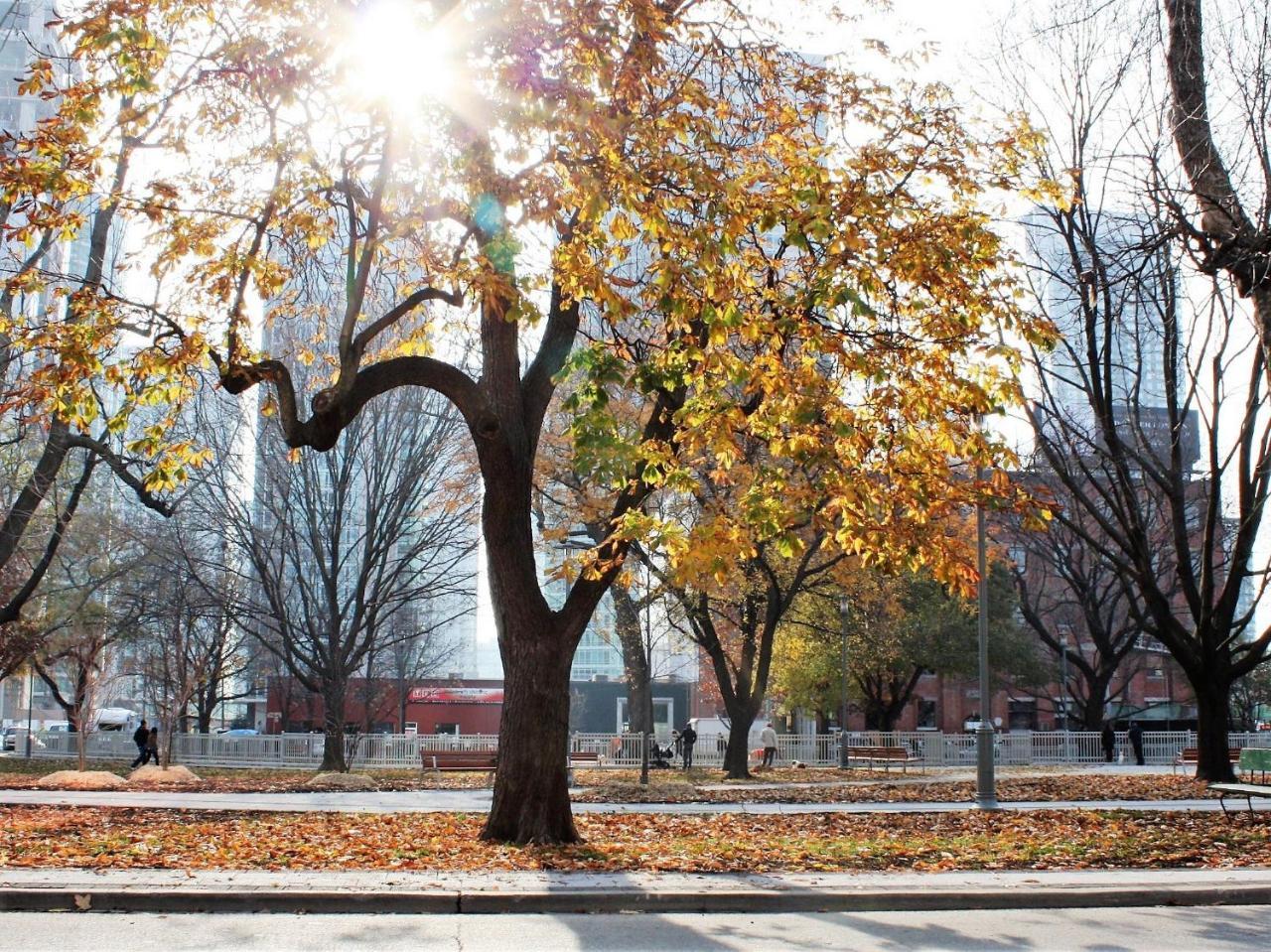 The Clarence Park Hostel Toronto Ngoại thất bức ảnh